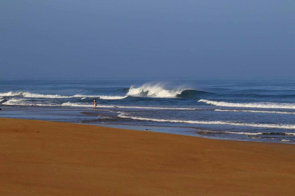 Ait Mouli Surf House Lejlighed Safi Eksteriør billede