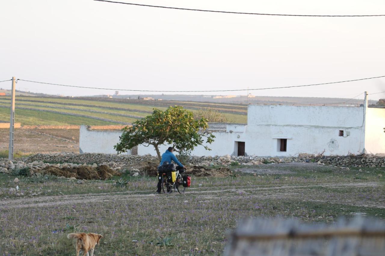 Ait Mouli Surf House Lejlighed Safi Eksteriør billede